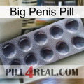 Big Penis Pill 30